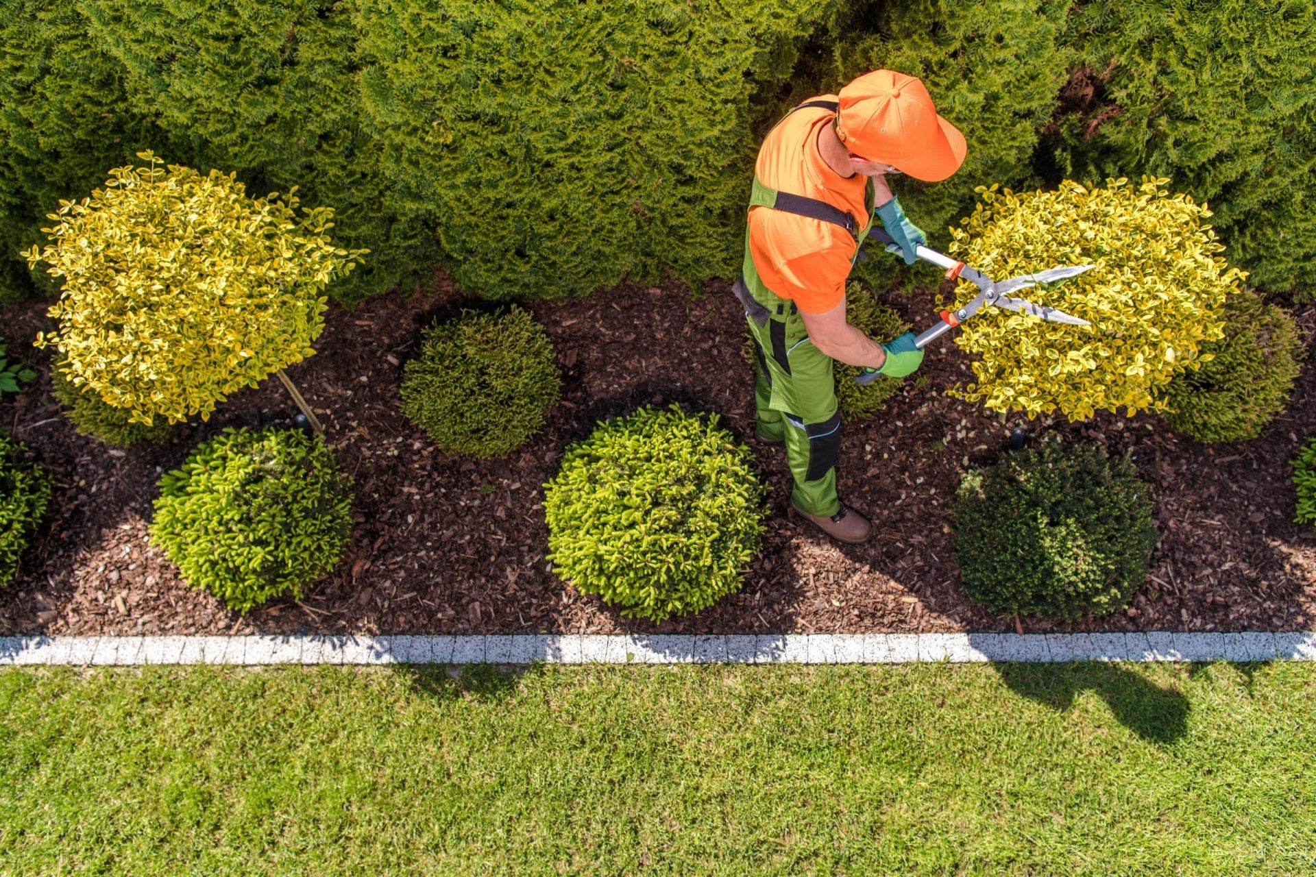 Topiaries