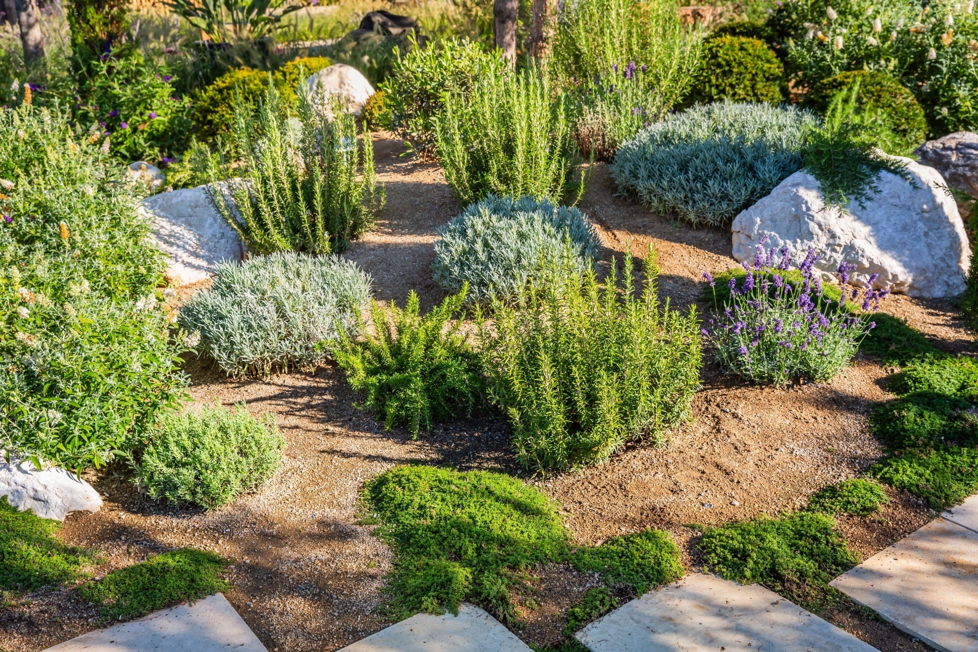 Rock Garden