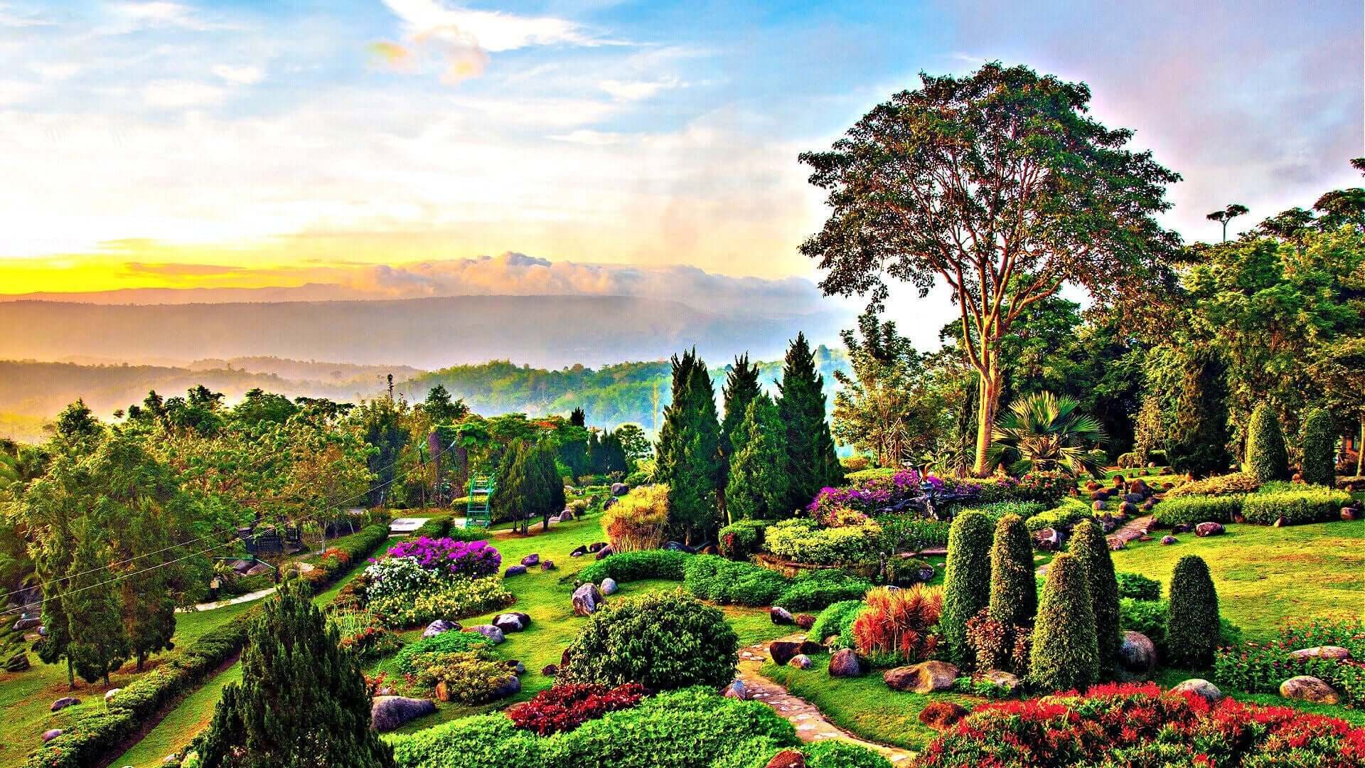 Sowing Success: Seasonal Garden Care for All Four Seasons - Tree Nursery Co